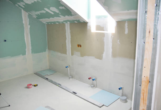 Best Mold Damage Restoration  in Fruitland, MD