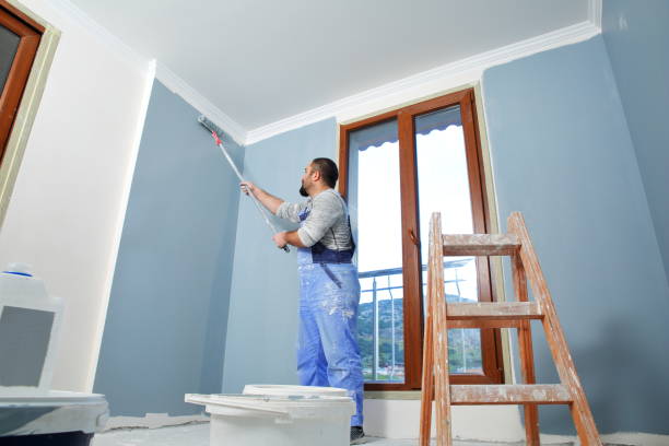 Best Black Mold Removal  in Fruitland, MD