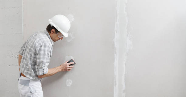 Best Basement Mold Removal  in Fruitland, MD