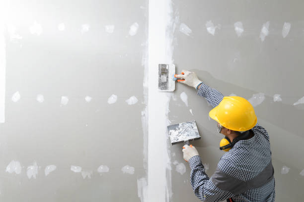Mold Removal for HVAC Installations in Fruitland, MD