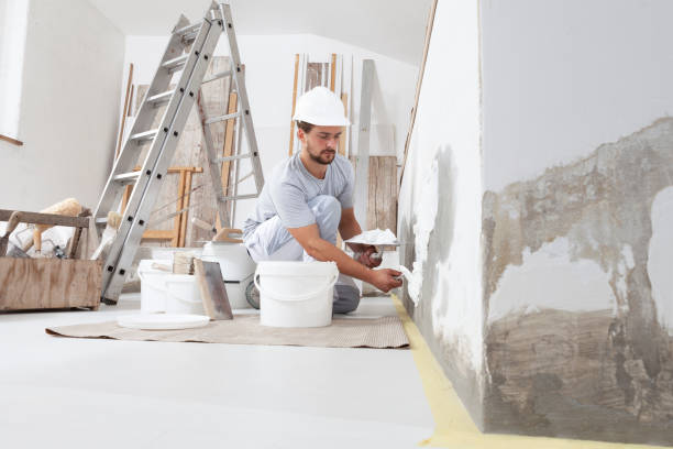 Dehumidification Services in Fruitland, MD