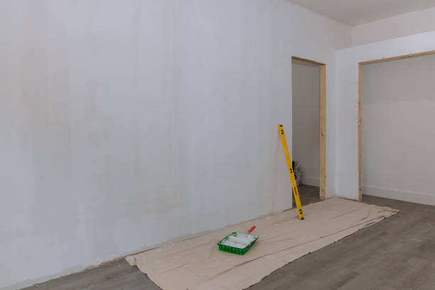 Best Mold Remediation for Vacation Homes  in Fruitland, MD