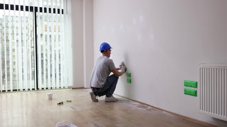Mold Odor Removal Services in Fruitland, MD