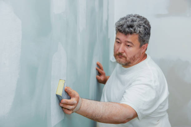 Best Comprehensive Air Testing for Mold Contaminants  in Fruitland, MD