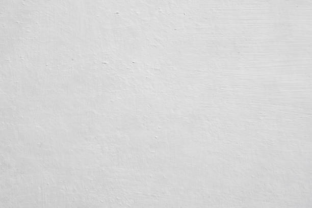 Fruitland, MD Mold Removal Company
