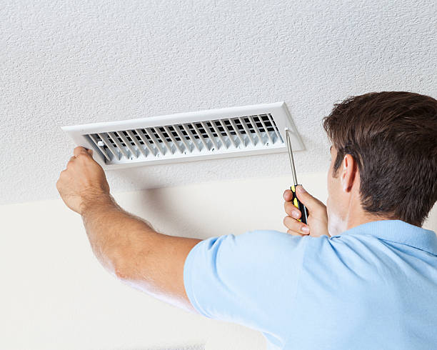 Best Water Damage & Mold Remediation  in Fruitland, MD