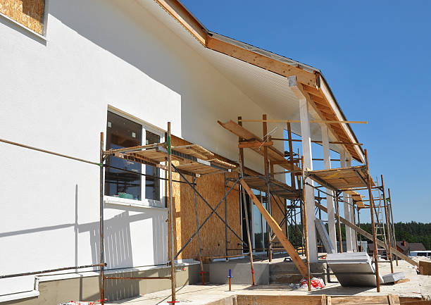 Best Residential Mold Inspection & Testing  in Fruitland, MD