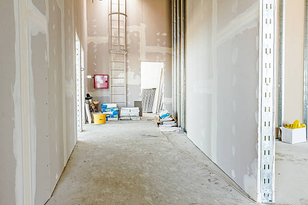 Best Biohazard Mold Removal  in Fruitland, MD