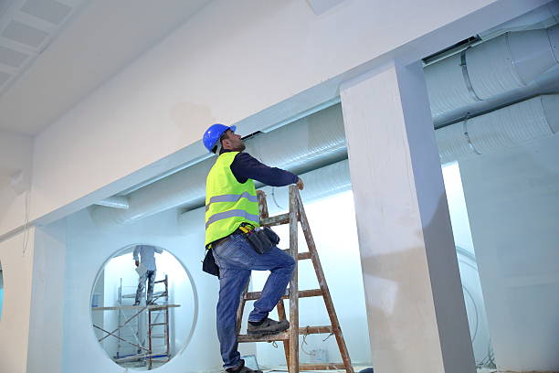 Best Airborne Mold Testing  in Fruitland, MD