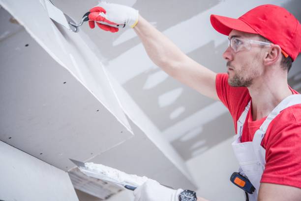 Best Industrial Mold Remediation  in Fruitland, MD